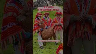 В гостях у индейцев кечуа. Перу, Куско, Анды. #peru #cusco  #andes #quechua