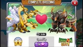 Dragon City: High Celestial Dragon vs High Portal Dragon [EXCLUSIVE BREEDING]