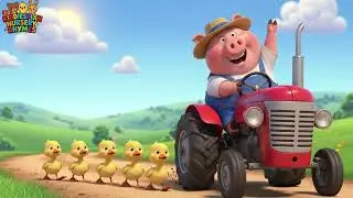 five Little Ducks Compilation