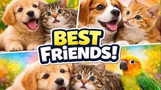 Top 10 Cutest Animal Friendships ❤️#CuteAnimals #AnimalFriends #PetVideos #FunnyAnimals #Animals