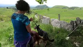 Vajo del Bruto (valle delle sfingi), Sengio Rosso, Lausen