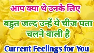 His/Her Current Feelings💖Love Reading❤️Collective💘Timeless✨ Hindi Tarot Reading