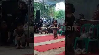 podang kuning #fypvideo #fypyoutube #fypシ #fypシ゚viral #fypshorts #fypシ゚ #fypp