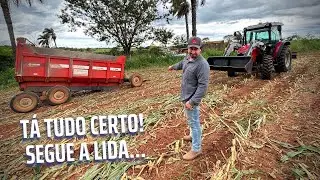 SILAGEM SEM TRETA NÃO É SILAGEM! FOI PUXADO, MAS ACABAMOS A COLHEITA.