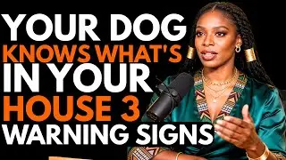 Ex-Witch EXPOSES The 3 Terrifying Signs Your Dog Sees Demons You Cannot See