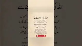 Islamic Motivation Quotes | Heart Touching Words That Will Change Your Life #shorts #bestquotes