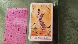Cat Tarot by Megan Lynn Kott Tarot Review Part 1   Major Arcana