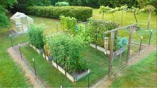 My Homestead Vegetable GARDEN mid July Grow FOOD at Home