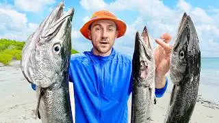 24 Часа в Поисках Еды в Океане: Акулы и Подводная Охота