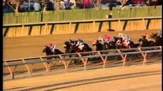 Cigar - 1994 NYRA Mile Handicap (G1)