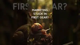 Time to accelerate your Campaigns | Playly Gamification Your Marketing #gamification #b2bsolutions