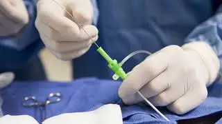 Protect Your Health, Finances and Reputation | Towson, MD - Law Offices of Markey & Orsi