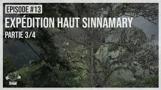 EP#13 - EXPEDITION HAUT SINNAMARY (PARTIE 3/4)