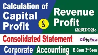 #CapitalPprofitandRevenueProfit Malayalam, #CorporateAccounting