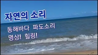 [자연의소리] 동해바다 #파도소리로 힐링하기 #명상 #집중 #자연과함께