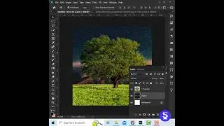 🔥2 Steps to easily change tree background In Photoshop🔥 
