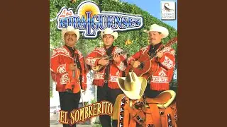 El Actopense