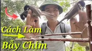 Hướng Dẫn Cách Làm Bẫy Chim (BẪY TẤT CẢ CÁC LOẠI CHIM)