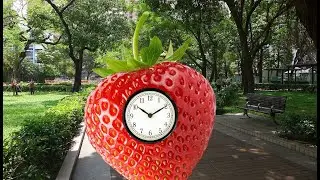 StrawberryClock Visits the Park