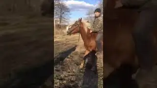 Настоящий наездник/ Real rider