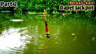 Beginilah Klo Mancing Ikan Nila Babon Di Taiwan Sore Hari Strek Nya Bertubi Tubi #HP-154