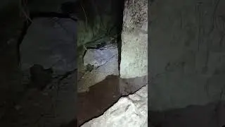 😰On explore un bunker et une chapelle abandonn&eacute;e🔦