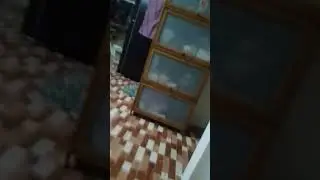 pov: if your mom id deaf