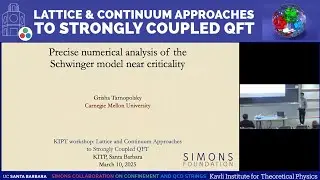 Precise Numerical Analysis of Quantum Models Near Criticality | Grisha Tarnopolsky (CMU)