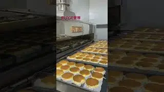 Basque production line#tunneloven #bakingoven#Automaticproduction line