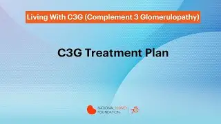 C3G Treatment Plan