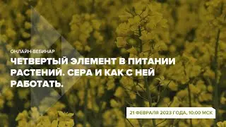 Онлайн-вебинар 