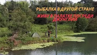 Ловлю карпа на Филиппинах! Забрался в глушь, ночую в палатке