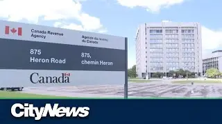 Processing error behind delayed Alberta Child and Family benefit payments: CRA