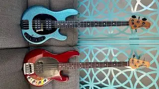Music Man Stingray - 1995 Vs. 2019 (Special)