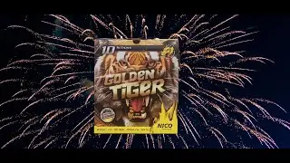 Lidl GOLDEN TIGER 13,99&euro; Nico Feuerwerk Silvester 2025/2026🔥🔥