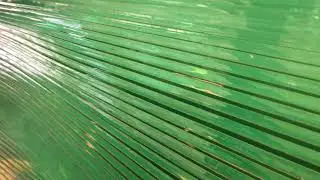 Stacked  Glass Mural Reception I Wavy Stacked Glass Finish I Palace of Glass