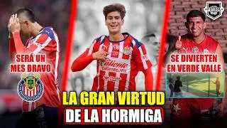 🔥 ¡POR ESTO EXPL0T0 LA HORMIGA EN CHIVAS! | SE VIENE MES BRAVO | ASÍ SE DIVIERTEN EN VERDE VALLE