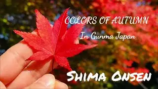 Amazing Autumn Leaves in Japan 2021  / #shimaonsen /#shimagrandhotel