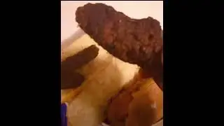 Dodo for dinner