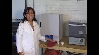 Técnica del manejo de mufla