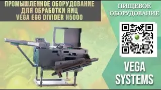 Эффективность в каждой детали: обзор промышленного сепаратора Vega Egg Crusher H5000