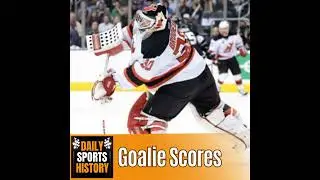 When a NHL Goalie Scores