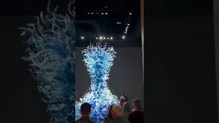 Chihuly Garden and Glass #pacificnorthwest #seattle