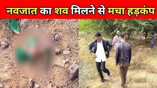 कहा नवजात शिशु का शव मिलने से मचा हड़कंप #mpkhabar #sachkidharnews #Barwani #mpnews #बड़वानी #Barwani