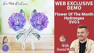 Create Floral Shaped Cards & More with Flower Of The Month Hydrangea SVG's! Highlight Crafts