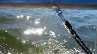 яхта Луч 2
