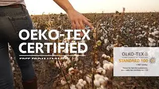 Organic Cotton Sheets