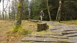 Wanderung an Stein, Moor und Turm im Kellerwald Nationalpark