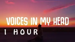 [1 HOUR 🕐 ] Skinny Days, CLMD - Voices In My Head (Lyrics)