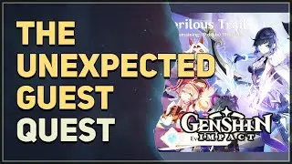 The Unexpected Guest Genshin Impact